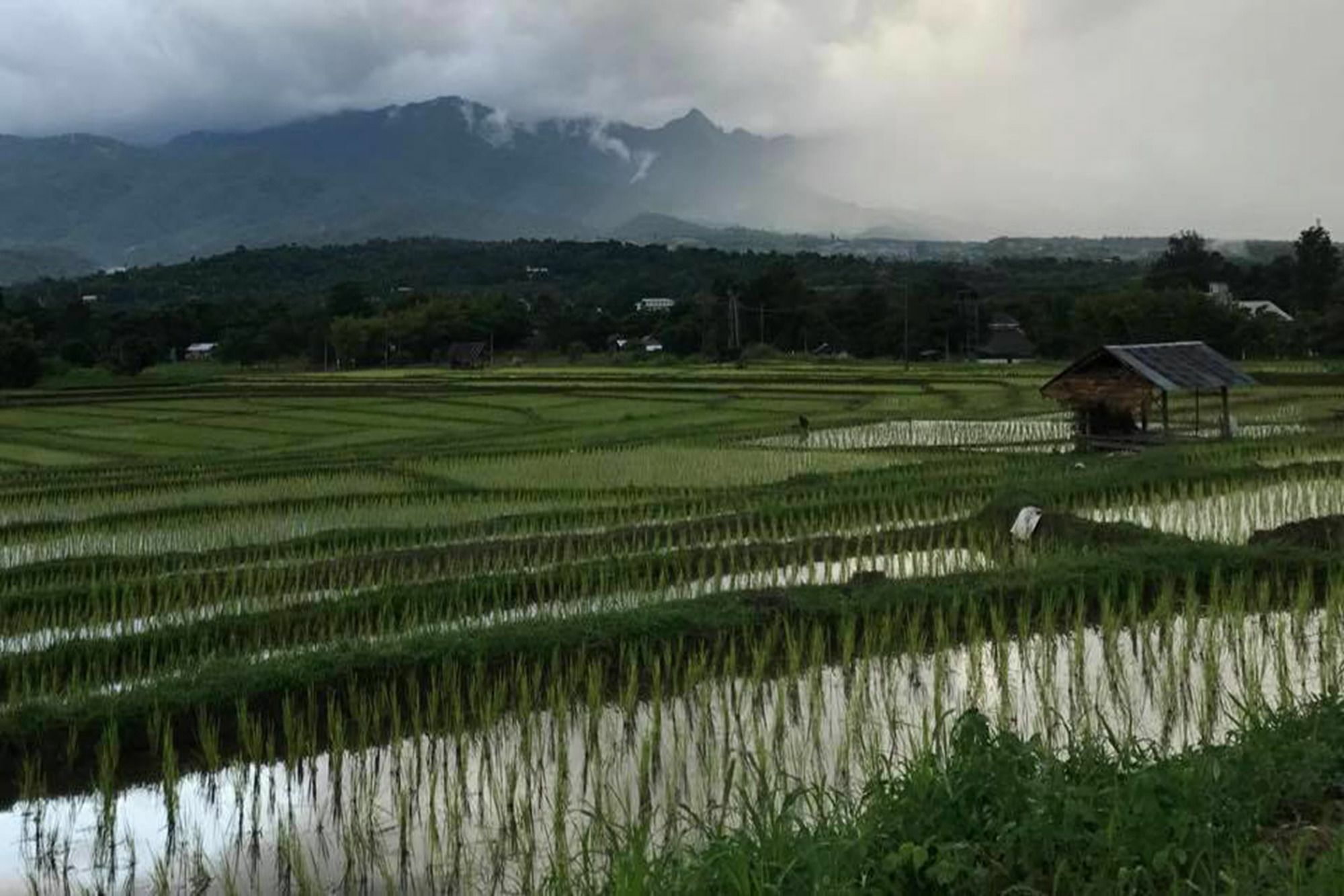 Deejai Pai Backpackers Hostel Bagian luar foto